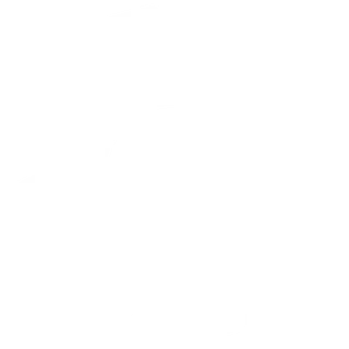 white cog settings icon