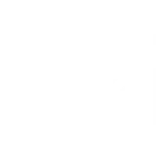 white monarch security M logo