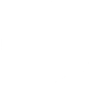 pie chart icon for cost effective service