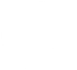 pie chart icon for cost effective service