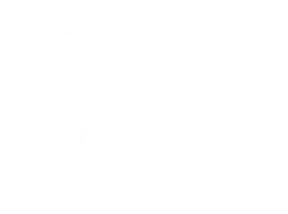 white car icon for uniformed patrol vehicles