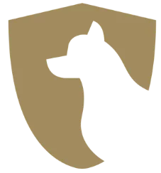 dog badge in gold