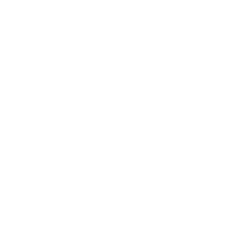 icon for great security company reputation